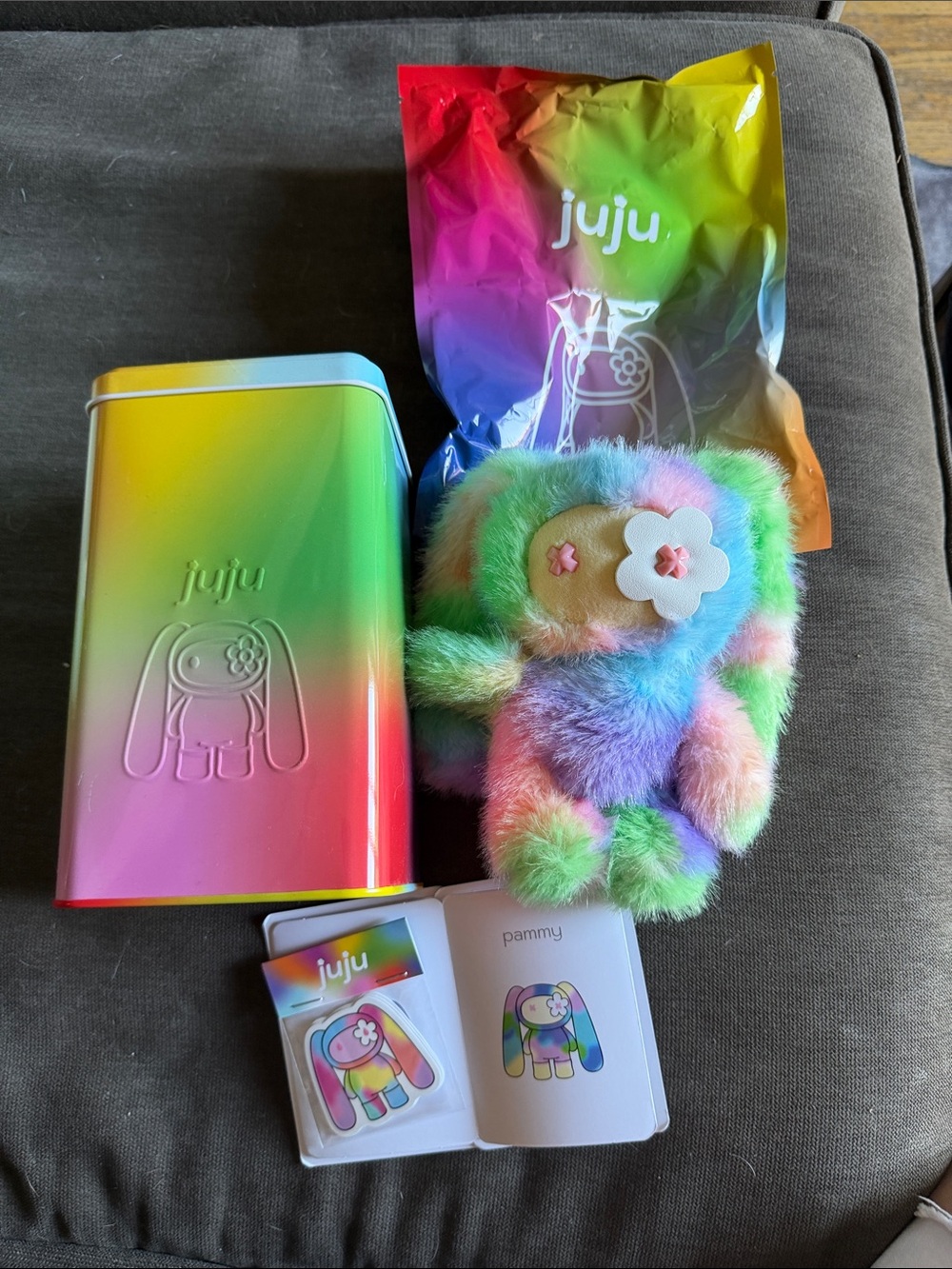 CJ Hendry JuJu Pammy Rainbow Plush with Tin - Rainbow Multicolor